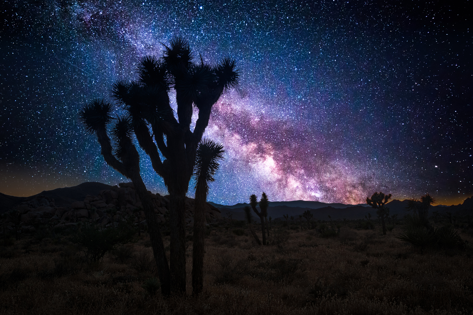 Relaxing desert evening, after handyman and landscaping work.